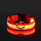 LED Dog Collar – Nylon Glow in the Dark, Flashing Night Safety Collar