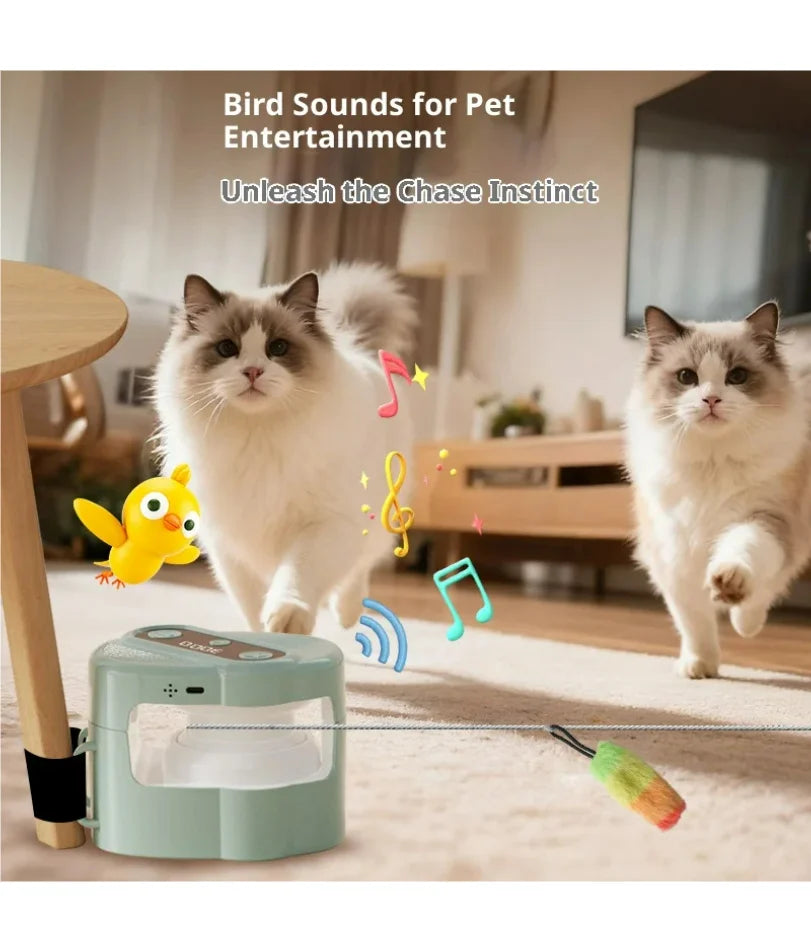 Interactive Cat Running Wheel Toy – Indoor Treadmill with Remote & Bird Sound