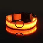 LED Dog Collar – Nylon Glow in the Dark, Flashing Night Safety Collar