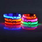 LED Dog Collar – Nylon Glow in the Dark, Flashing Night Safety Collar
