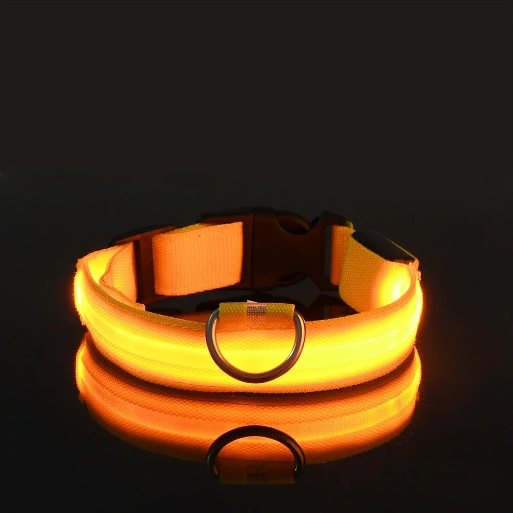 LED Dog Collar – Nylon Glow in the Dark, Flashing Night Safety Collar