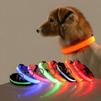 LED Dog Collar – Nylon Glow in the Dark, Flashing Night Safety Collar