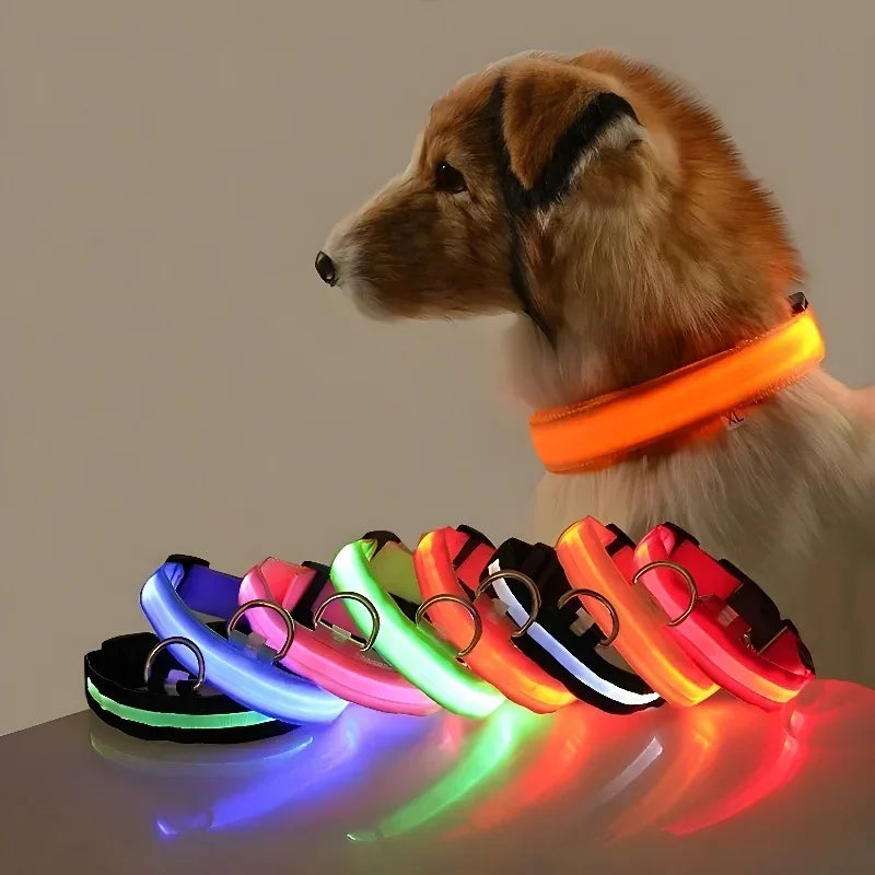 LED Dog Collar – Nylon Glow in the Dark, Flashing Night Safety Collar