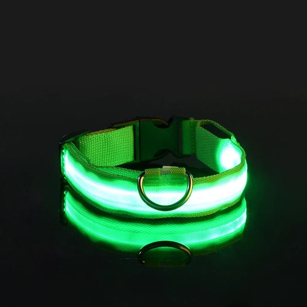 LED Dog Collar – Nylon Glow in the Dark, Flashing Night Safety Collar